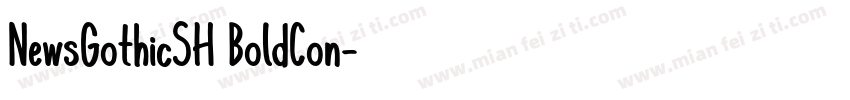 NewsGothicSH BoldCon字体转换